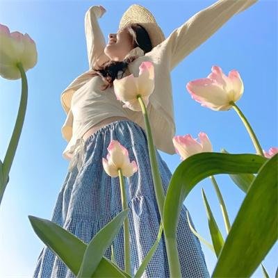 让叶兰在空中飞舞