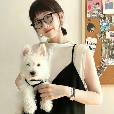 达利博尔